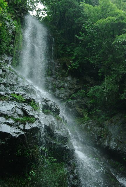 e0152576_11244084.jpg