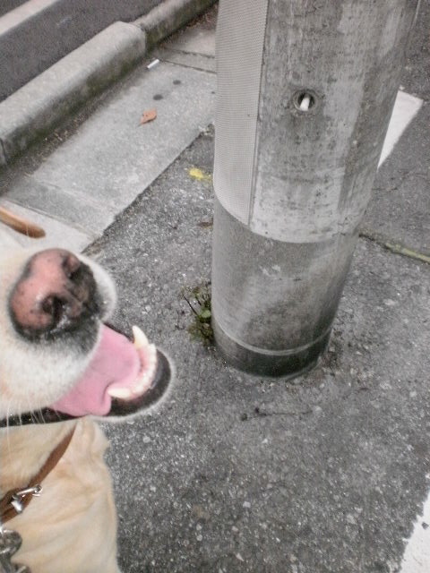 f0052277_0133335.jpg