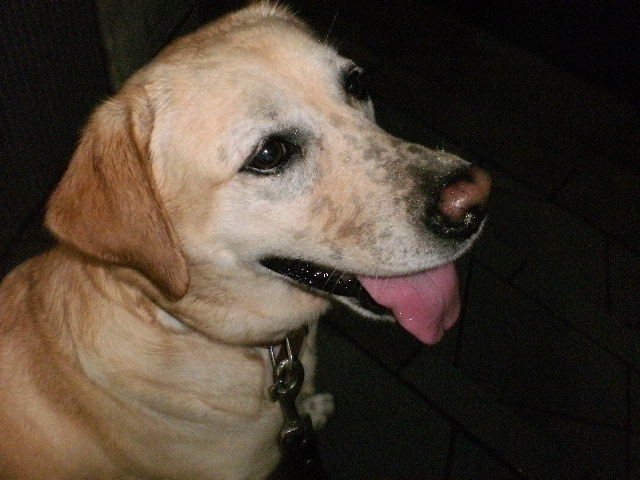 f0052277_0151857.jpg
