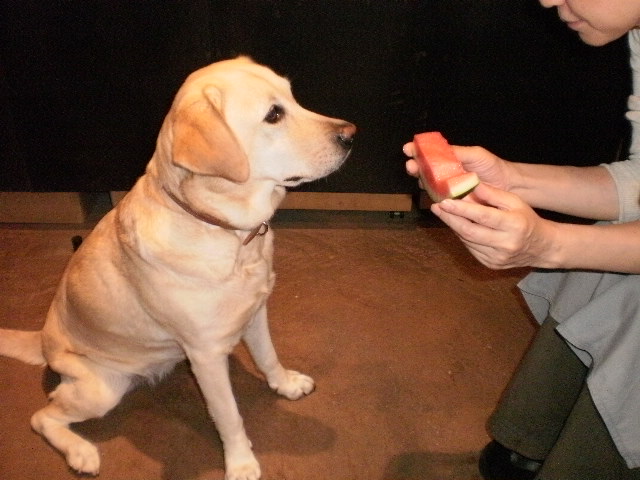 f0052277_0183796.jpg