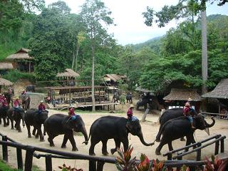 d0065480_016885.jpg