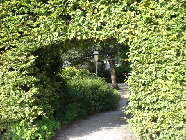 c0176981_0181563.jpg