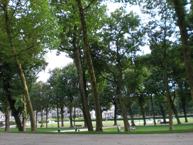 c0176981_0363280.jpg