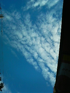 f0016981_0554315.jpg