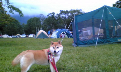 戸隠キャンプ初日_a0126590_20513790.jpg
