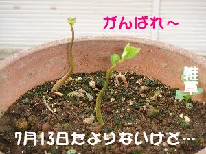 b0101991_9334968.jpg