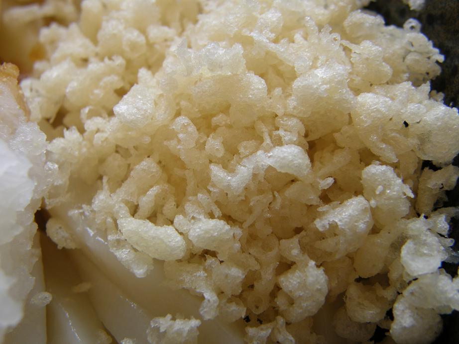 はなまるうどん 生野勝山通り店_c0118393_1465391.jpg