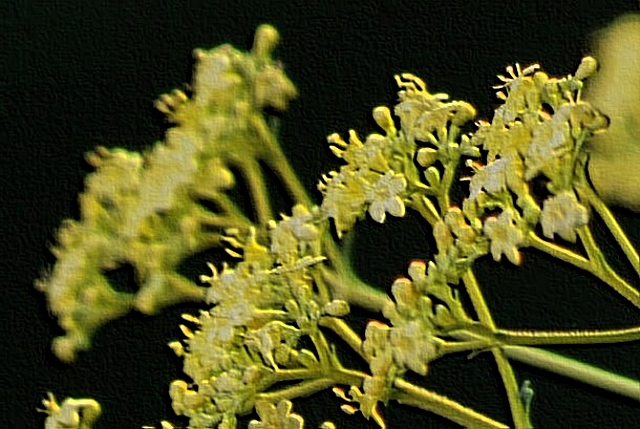 d0133693_2011128.jpg