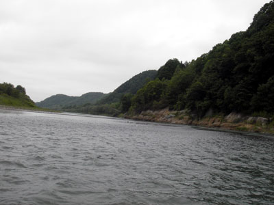b0071101_21374655.jpg