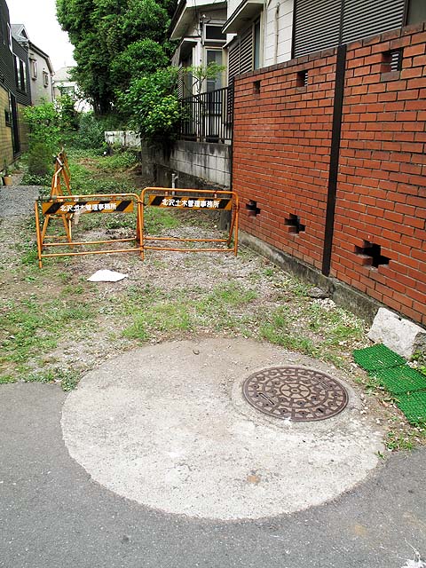 c0163001_22154644.jpg