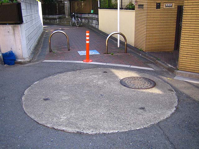 c0163001_2216936.jpg