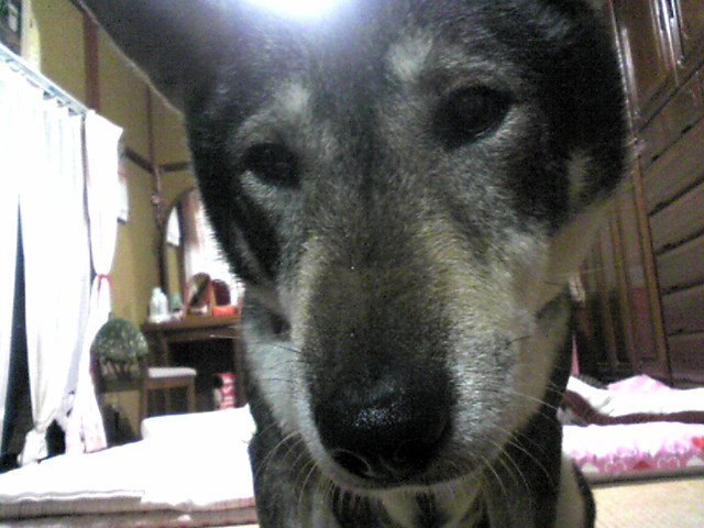 f0079202_2117722.jpg