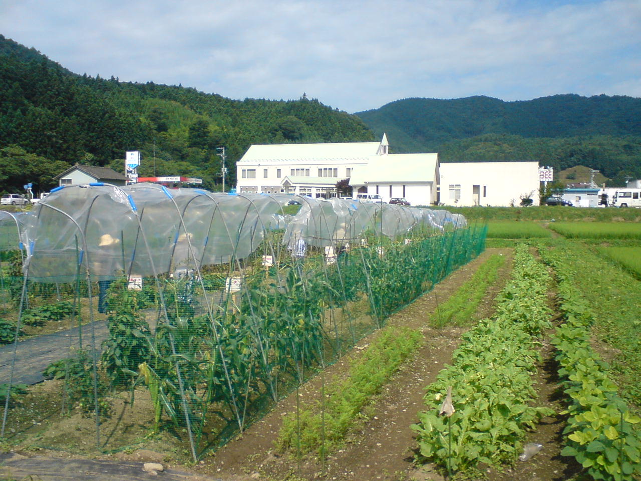 d0131505_21561360.jpg
