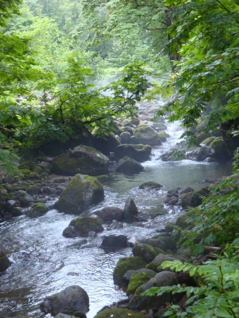 e0175905_17125868.jpg