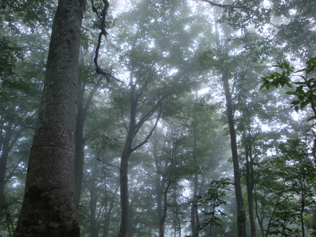 e0175905_17162845.jpg