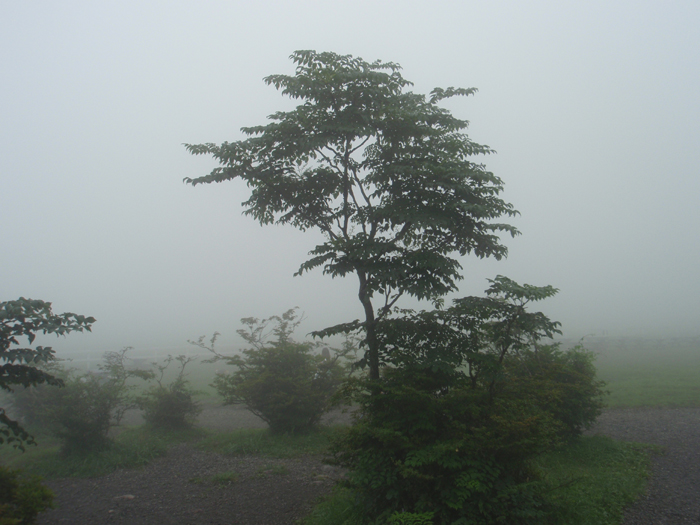 b0178406_19122489.jpg