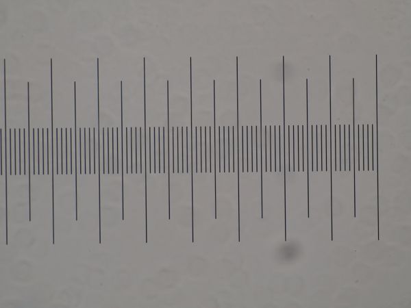 c0164709_18531059.jpg