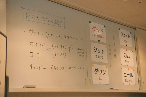 c0156510_9335614.gif