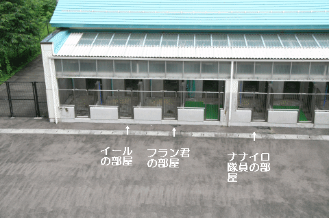 c0156510_934305.gif