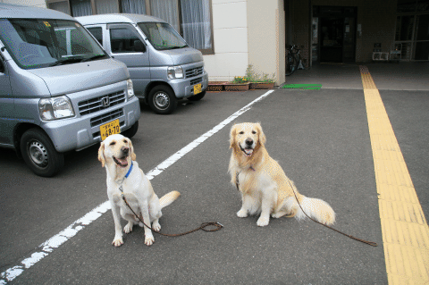 c0156510_9361987.gif