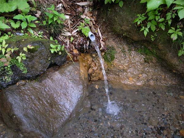 f0172612_2185119.jpg