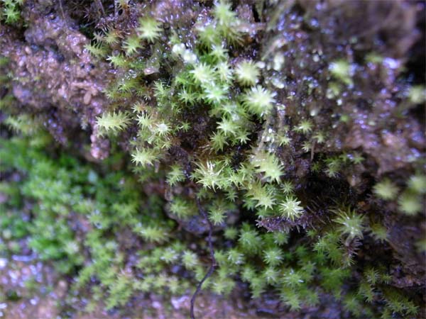f0172612_219334.jpg