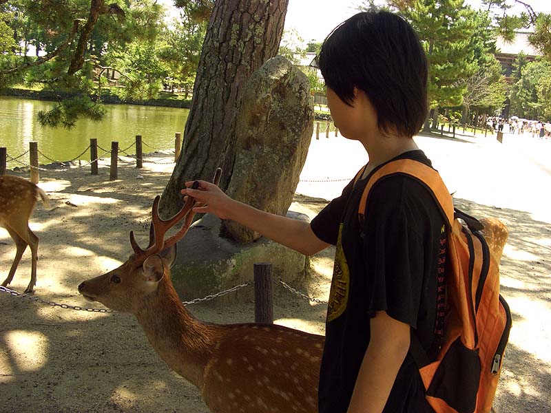 奈良県へ納品旅行_e0072513_10152469.jpg