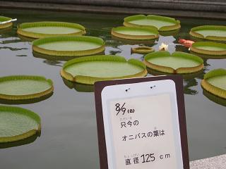 c0185914_14263861.jpg