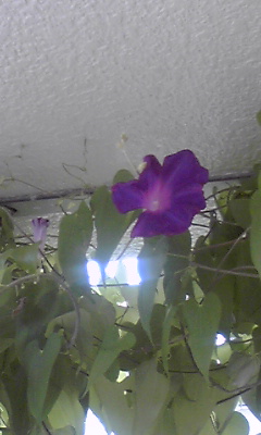 9日_c0160822_11272352.jpg