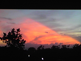 e0110824_0503519.jpg