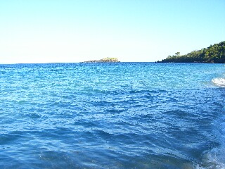 d0133225_11592416.jpg