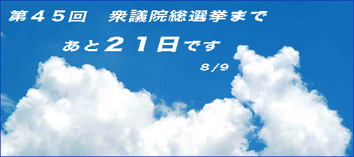 第45回　衆議院総選挙　マニフェスト_e0081525_6411189.jpg