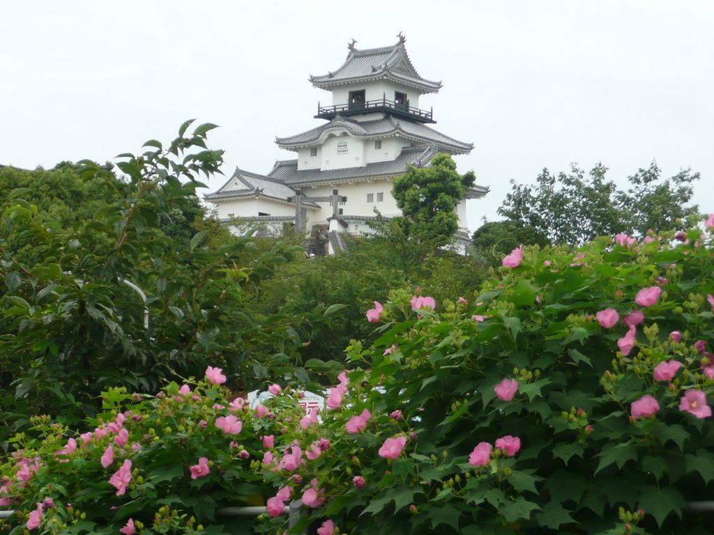 城と花　（掛川城）_e0033229_22133913.jpg