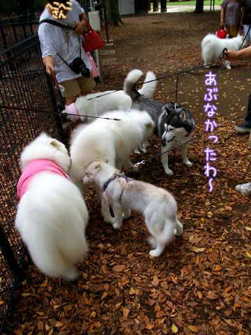 土曜日はおっきな公園_c0062832_16392517.jpg