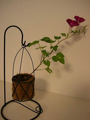 c0038434_1540494.jpg