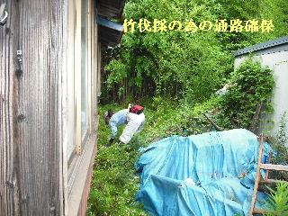 タイトルは植木剪定ですが・・・草刈り・竹伐採_f0031037_20215747.jpg