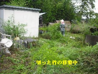 f0031037_20231452.jpg