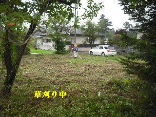 f0031037_20233061.jpg