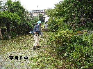 タイトルは植木剪定ですが・・・草刈り・竹伐採_f0031037_20235786.jpg