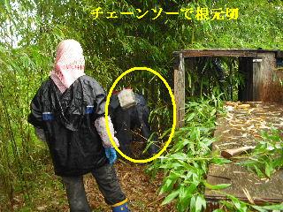 タイトルは植木剪定ですが・・・草刈り・竹伐採_f0031037_202464.jpg