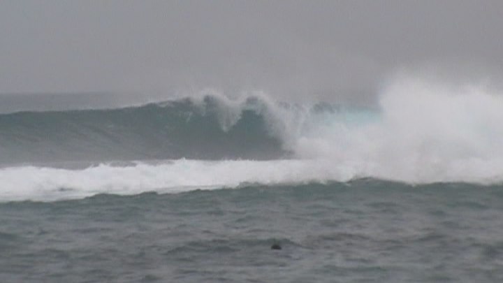 a0122740_11542394.jpg