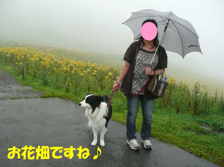 c0147241_1891627.jpg