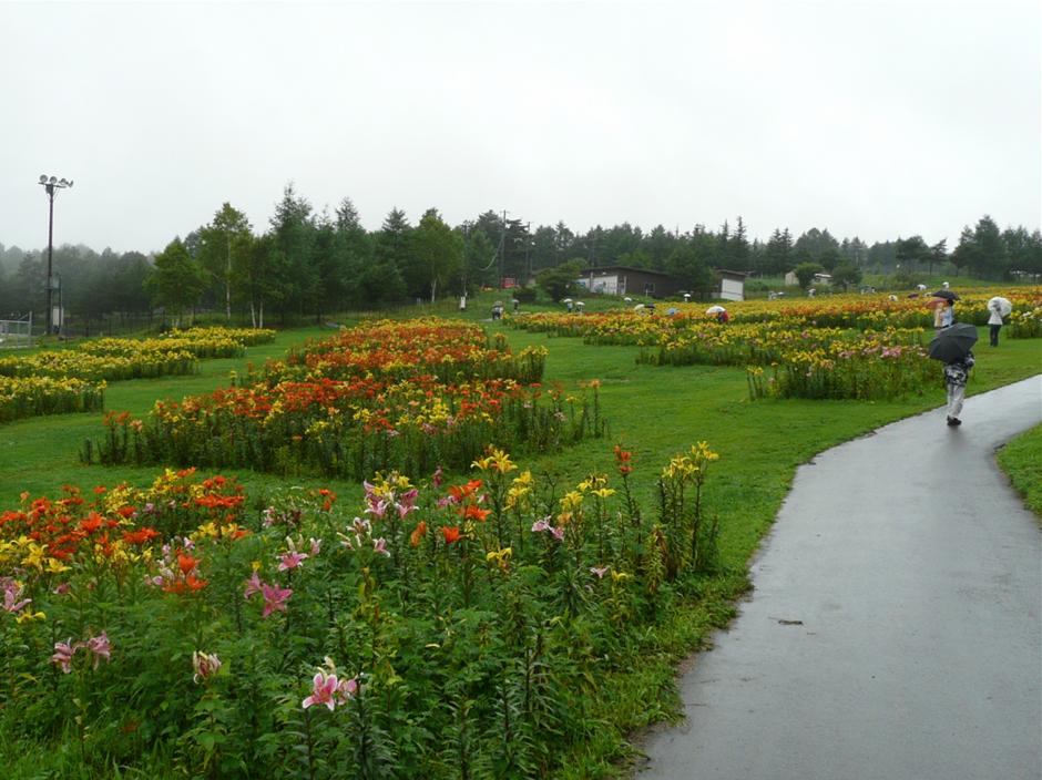 c0147241_1893139.jpg