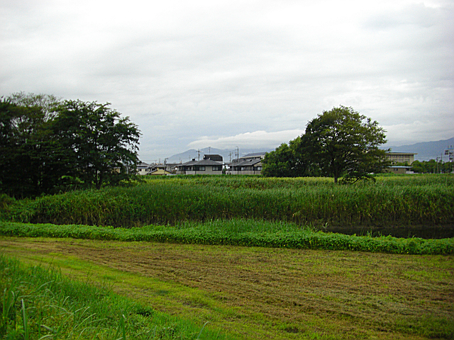 b0088444_6561159.jpg