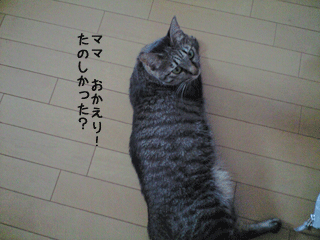 f0116546_024132.gif