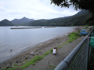 f0116546_07281.gif