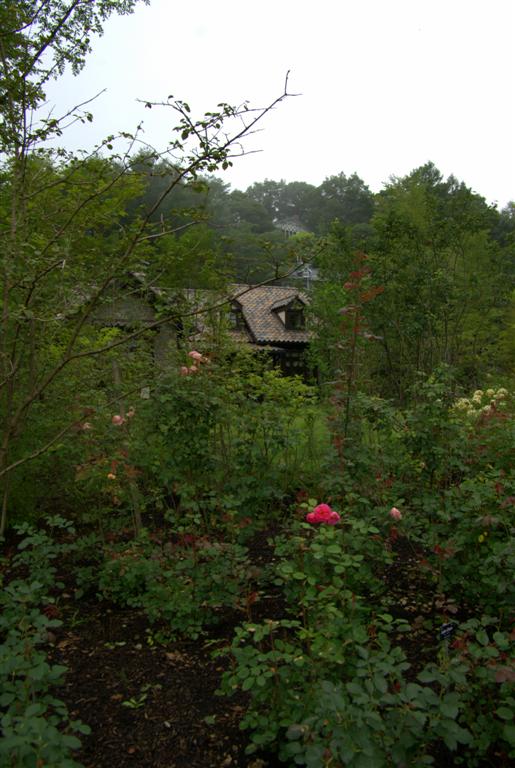 b0168752_135021.jpg