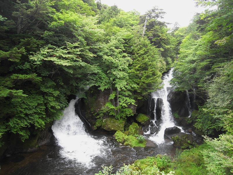 c0045352_16443561.jpg