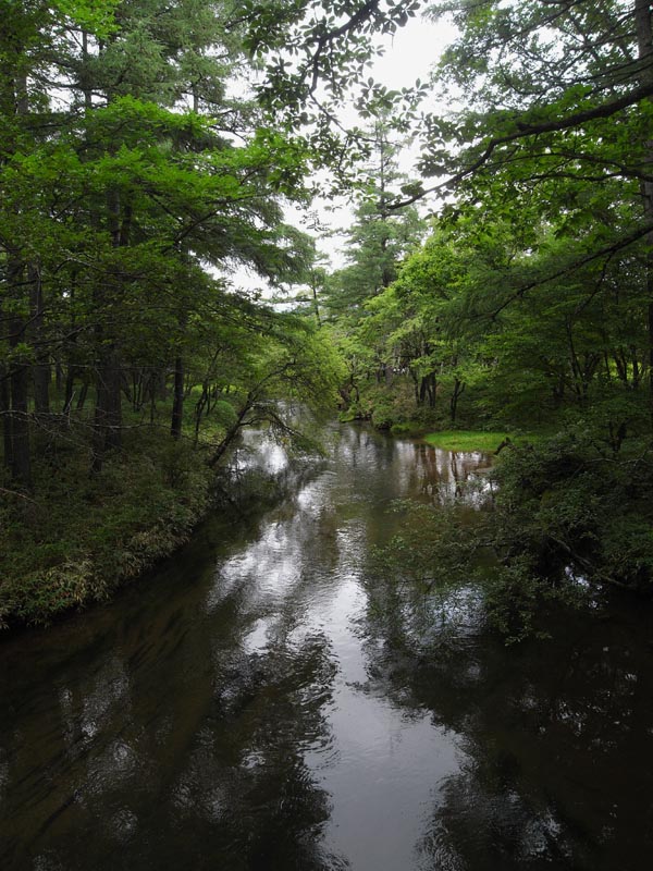 c0045352_16445354.jpg