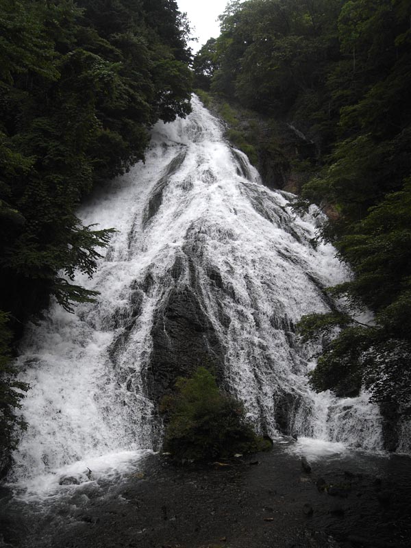 c0045352_16482876.jpg